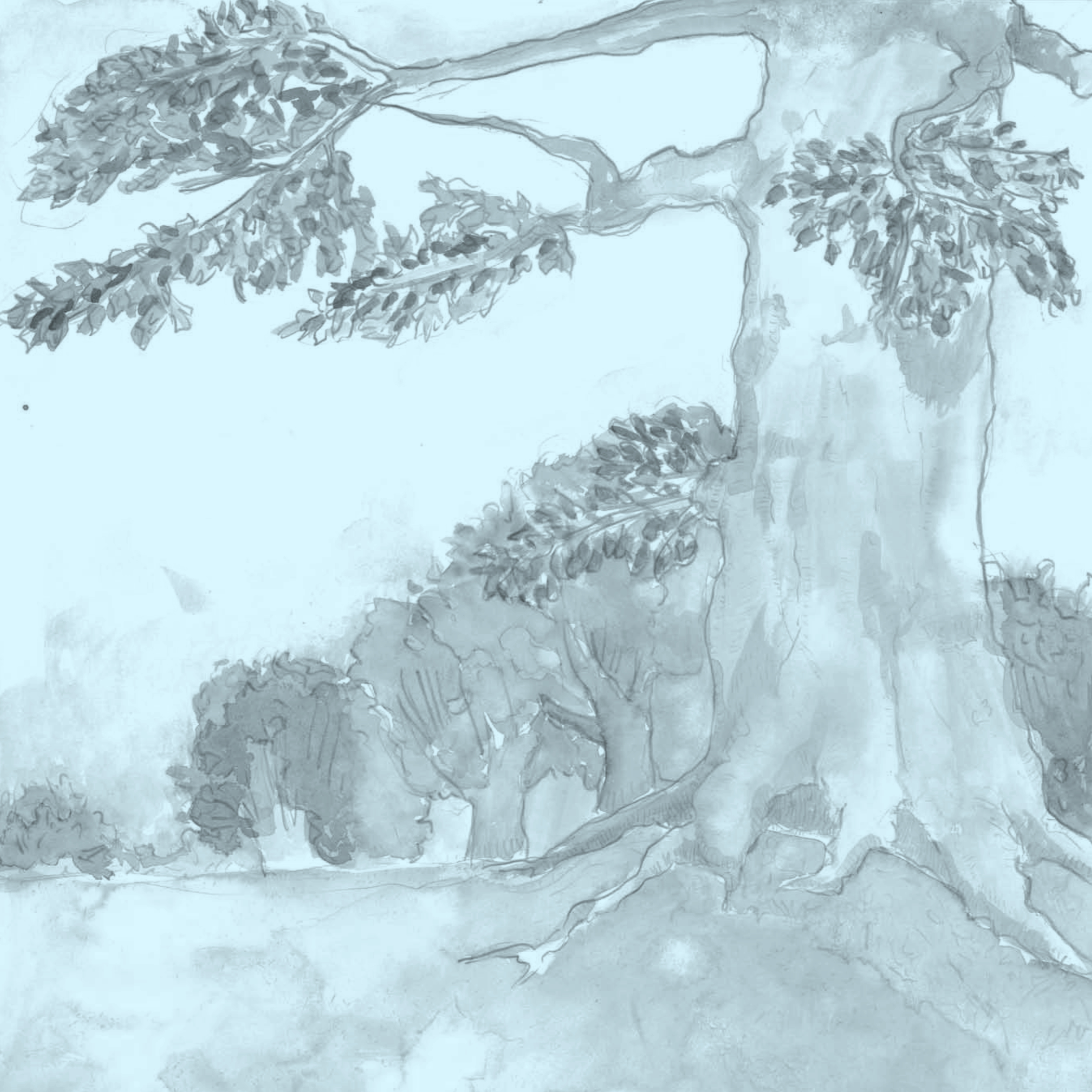 Antonia Boschetti: Manca Spazio (Hesse Artist in Residence)