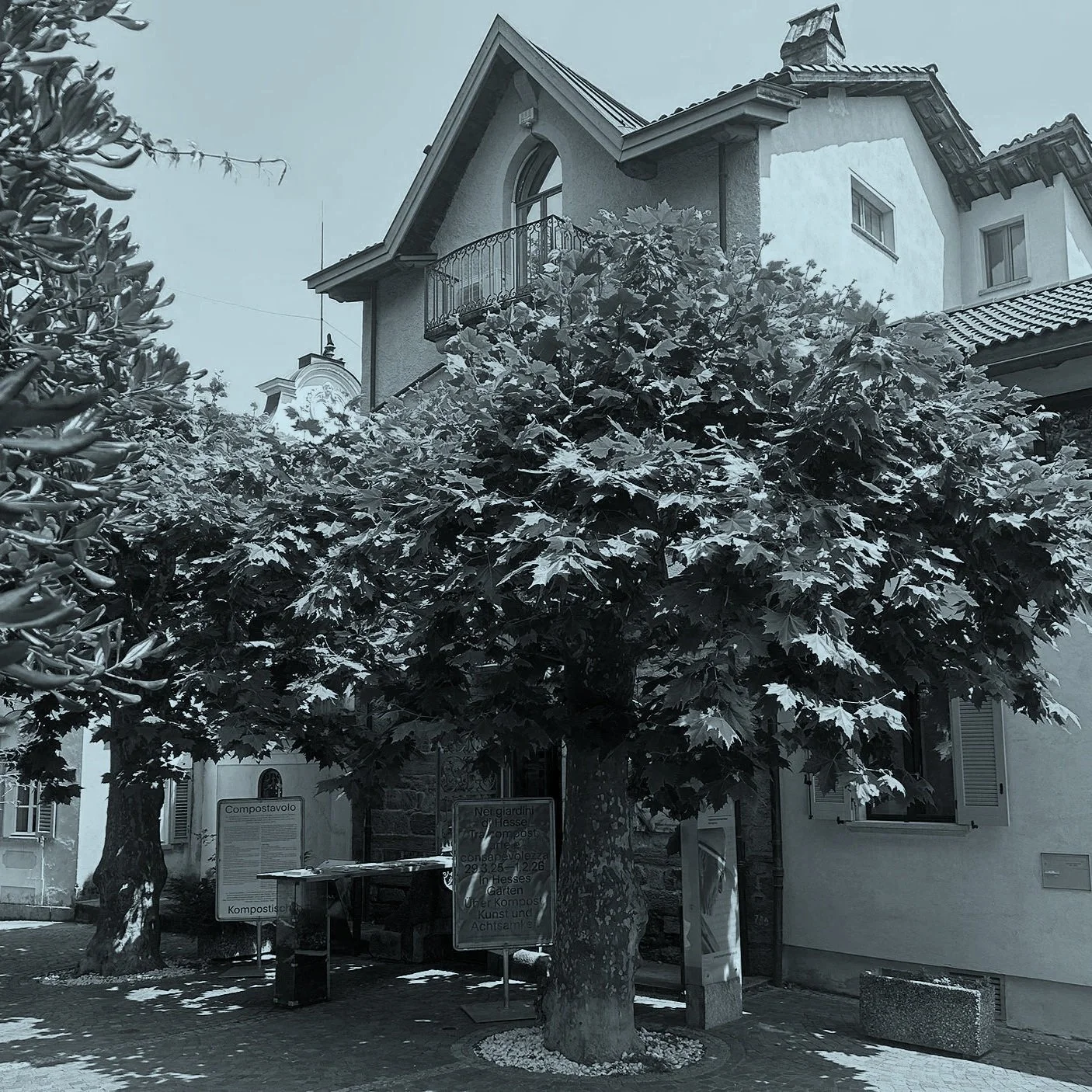 International Museum Day 2026