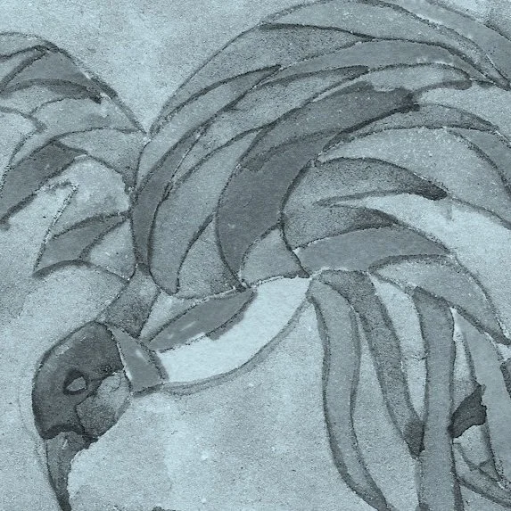 Premiere #TeatroDiffusoHesse2026