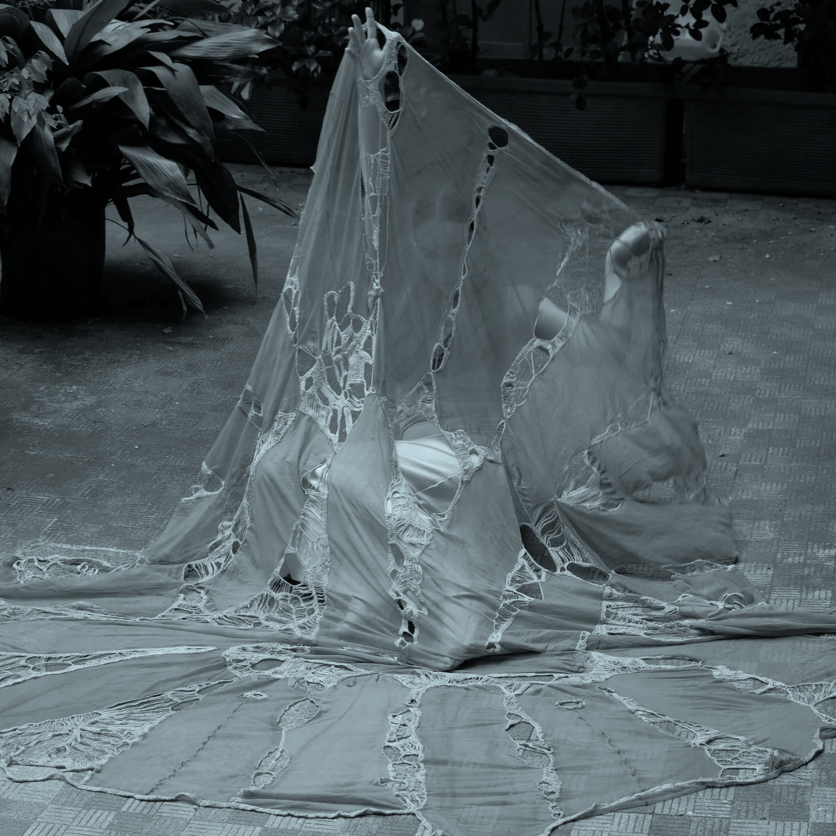 Giulia Santambrogio: A Feminine Saint Francis (Hesse Artist in Residence)