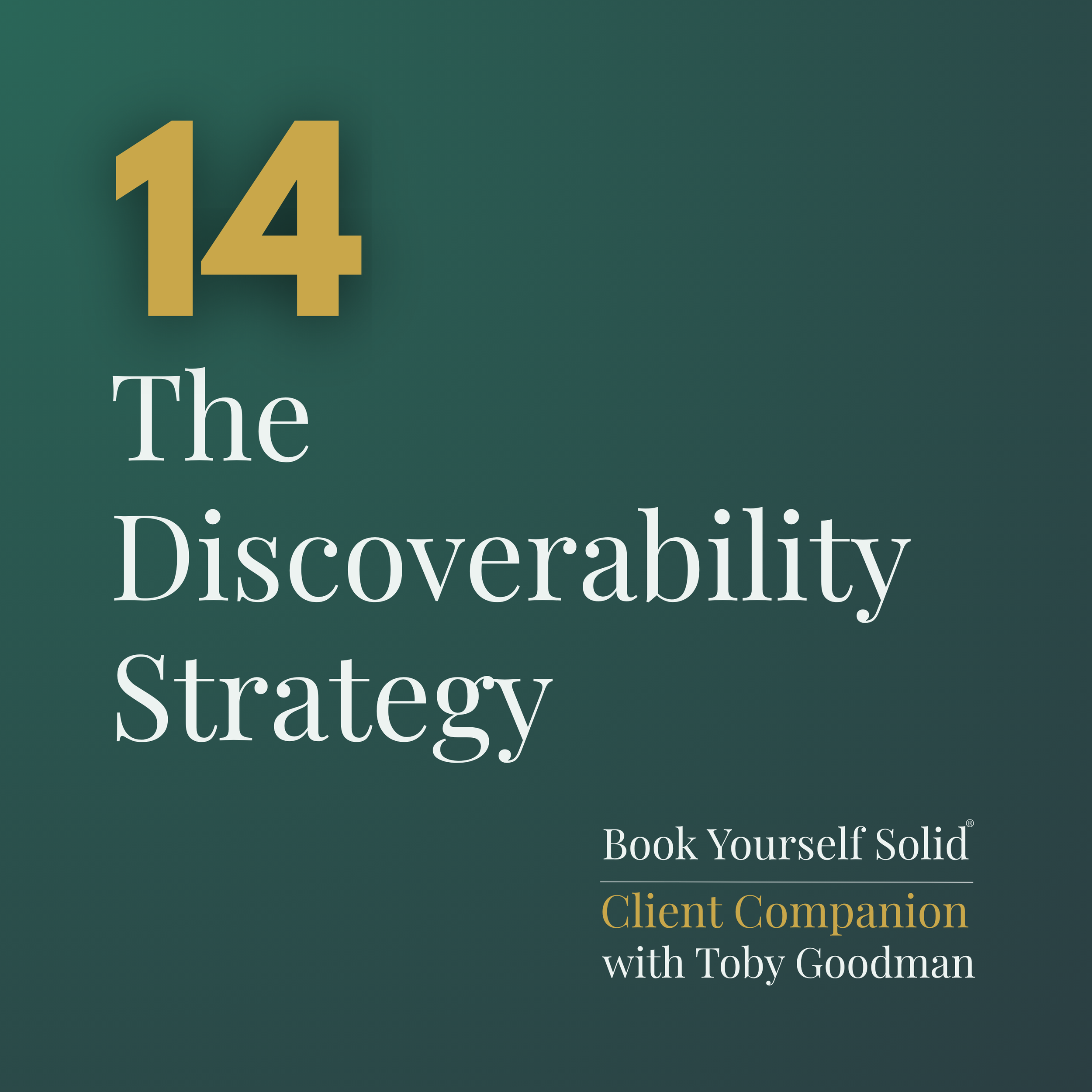 14 The Discoverability Strategy.png
