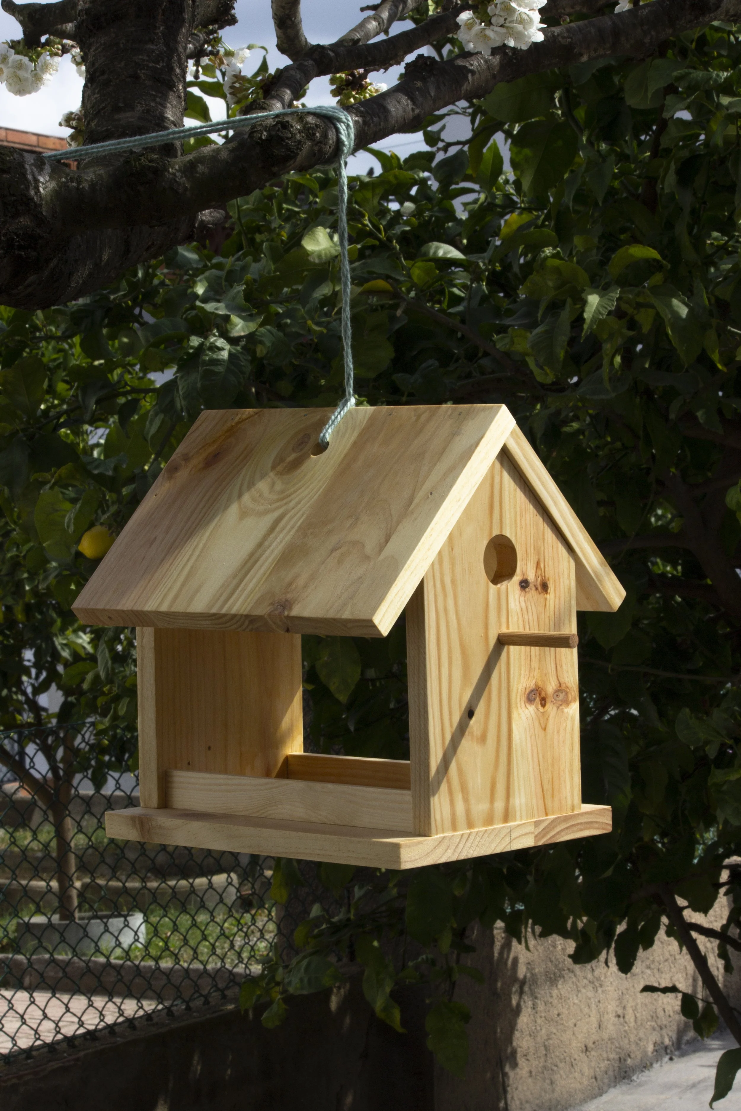 casa-ocell-01.jpg