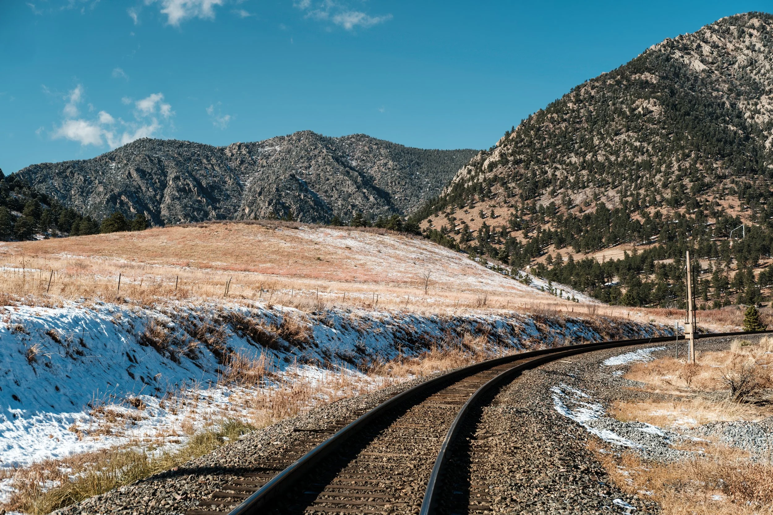 Canyon Pines area, Boulder, Colorado by Daniel Scott Jenkins