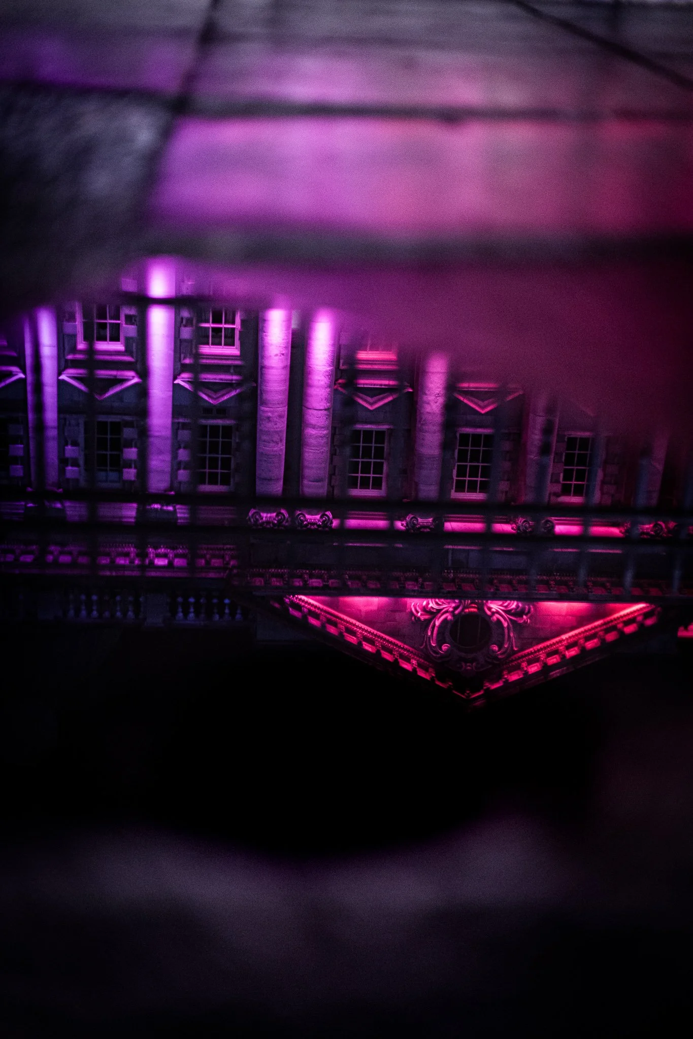 Belfast City Hall pink and purple reflection in puddle 