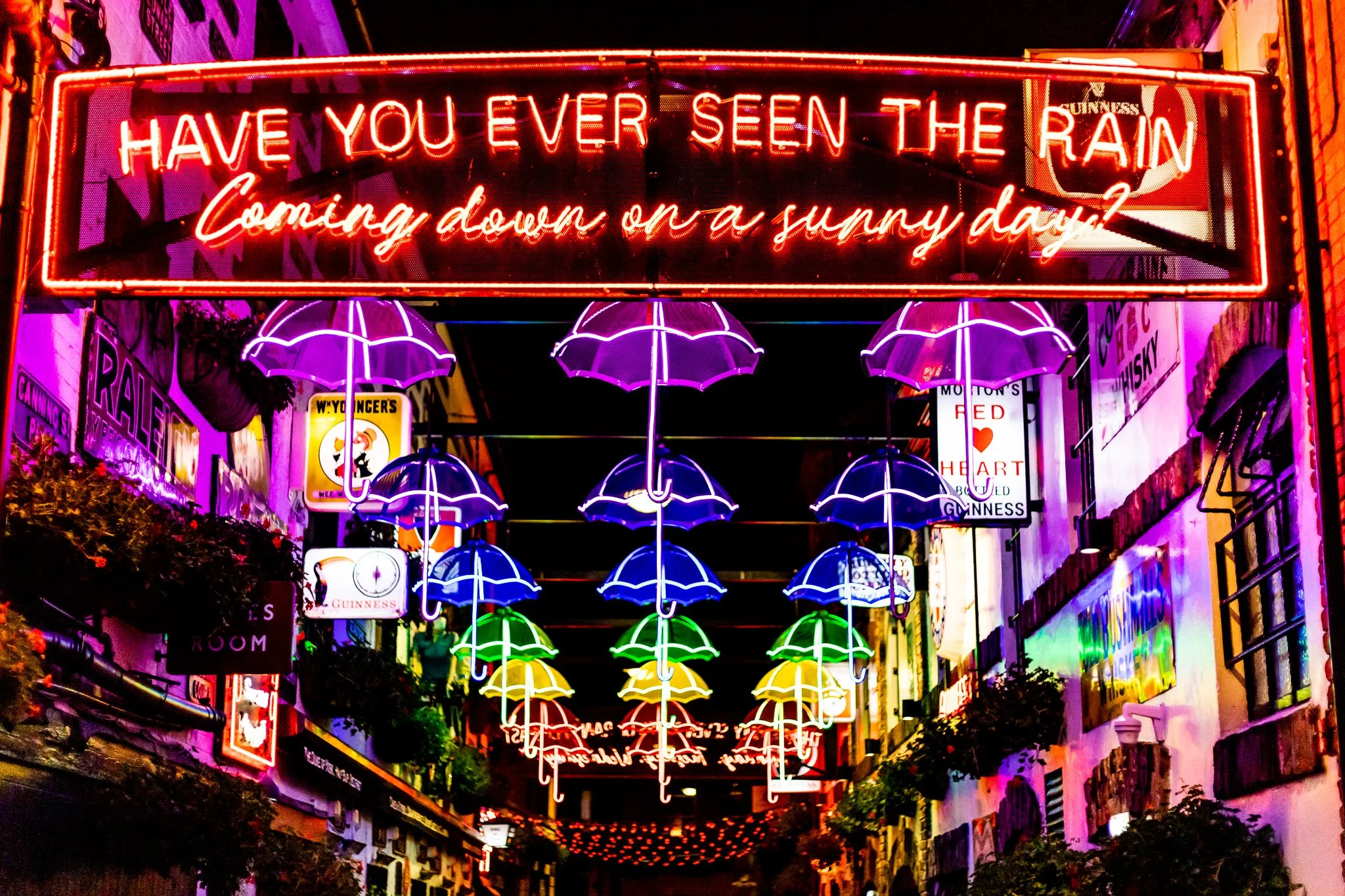Commercial Court umbrellas, Belfast at night