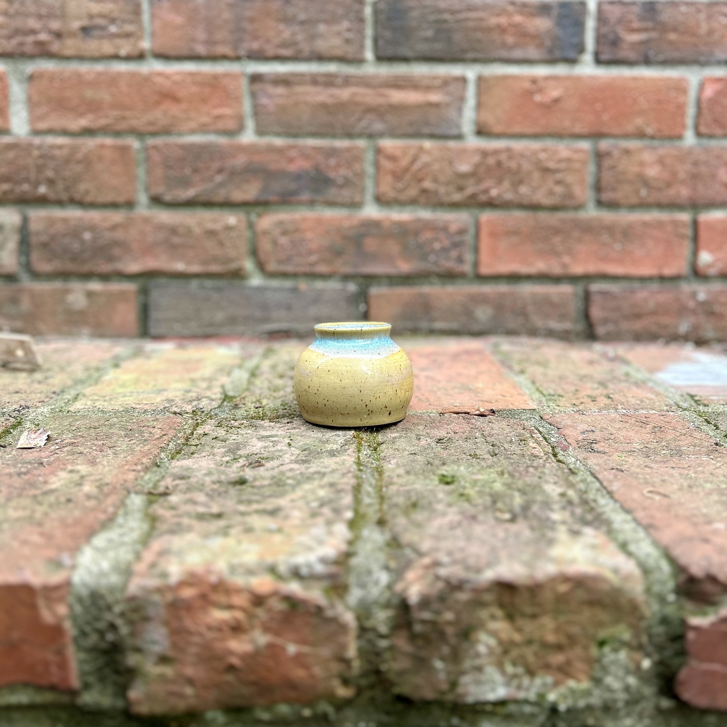 IMG_0545.jpeg