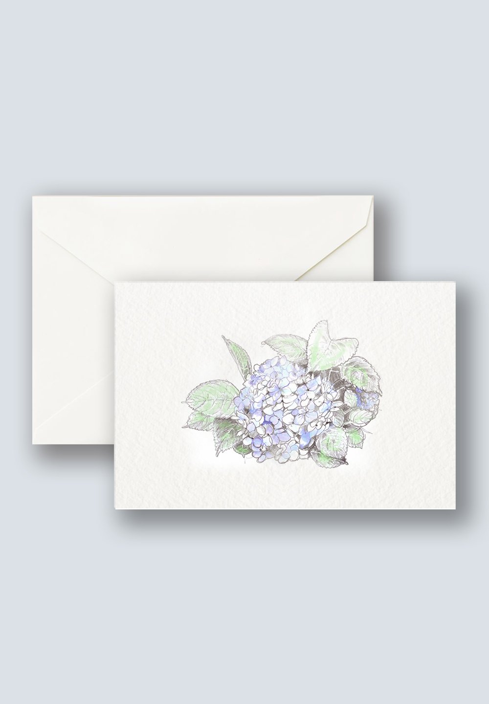 Hydrangea blue 3a.jpg