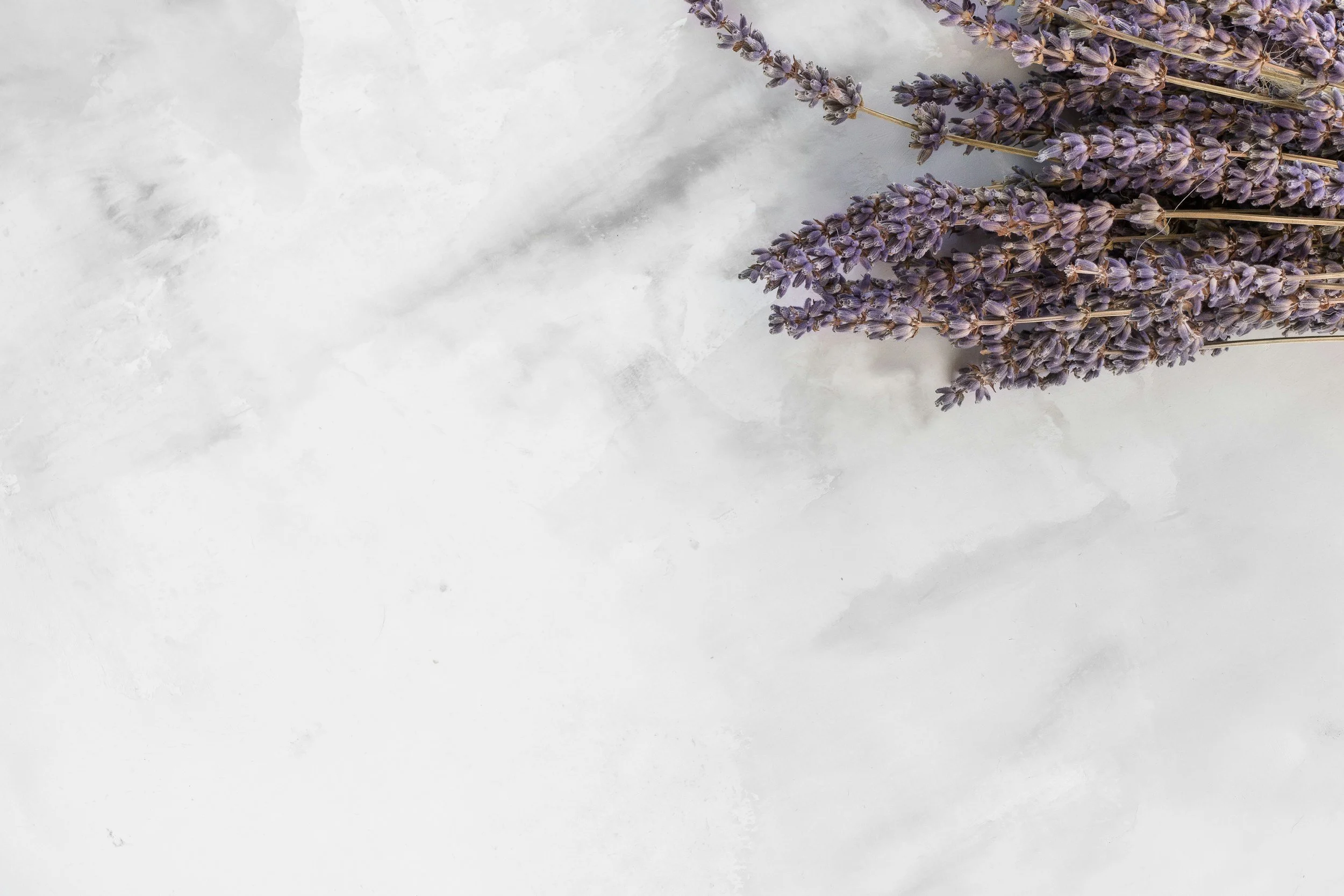 unsplash-image-x2cNcfz_xXU.jpg