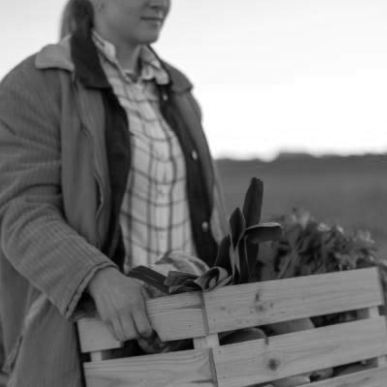 Durabilitas - A Just Food System Transformation