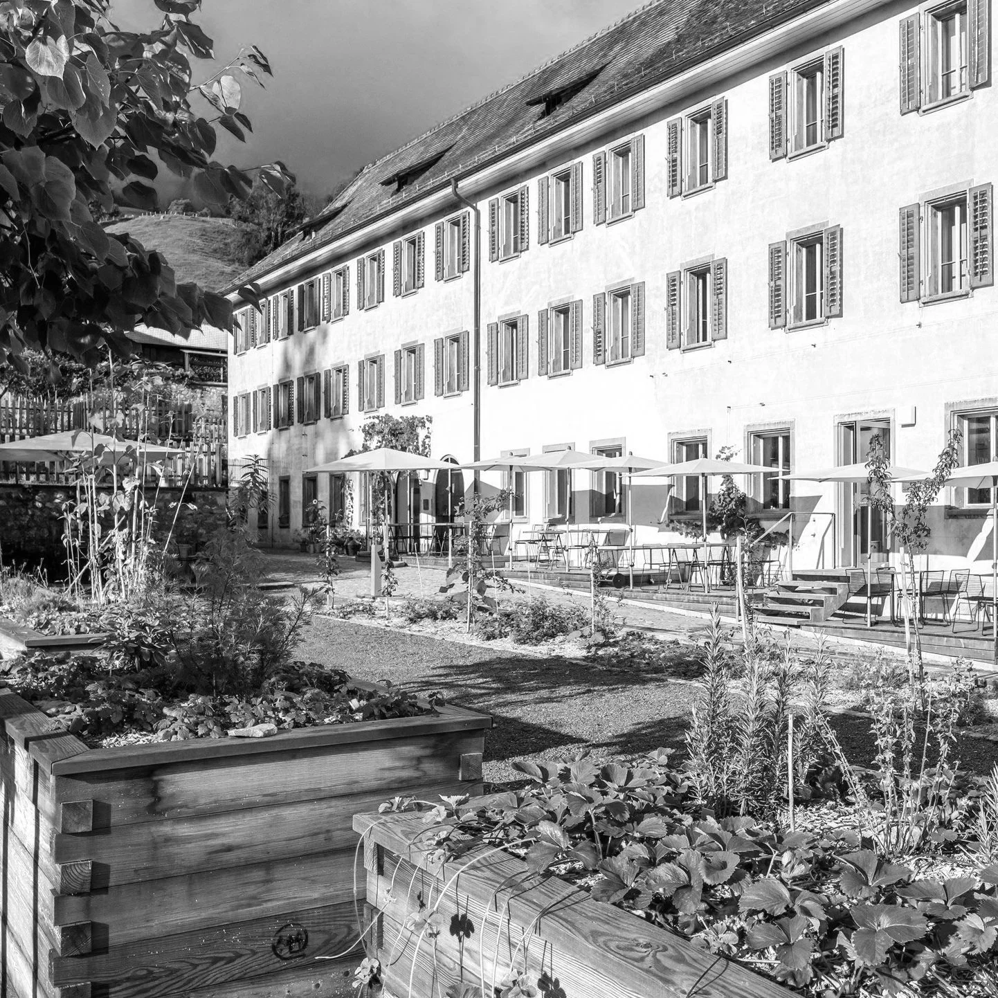 culinarium alpinum 