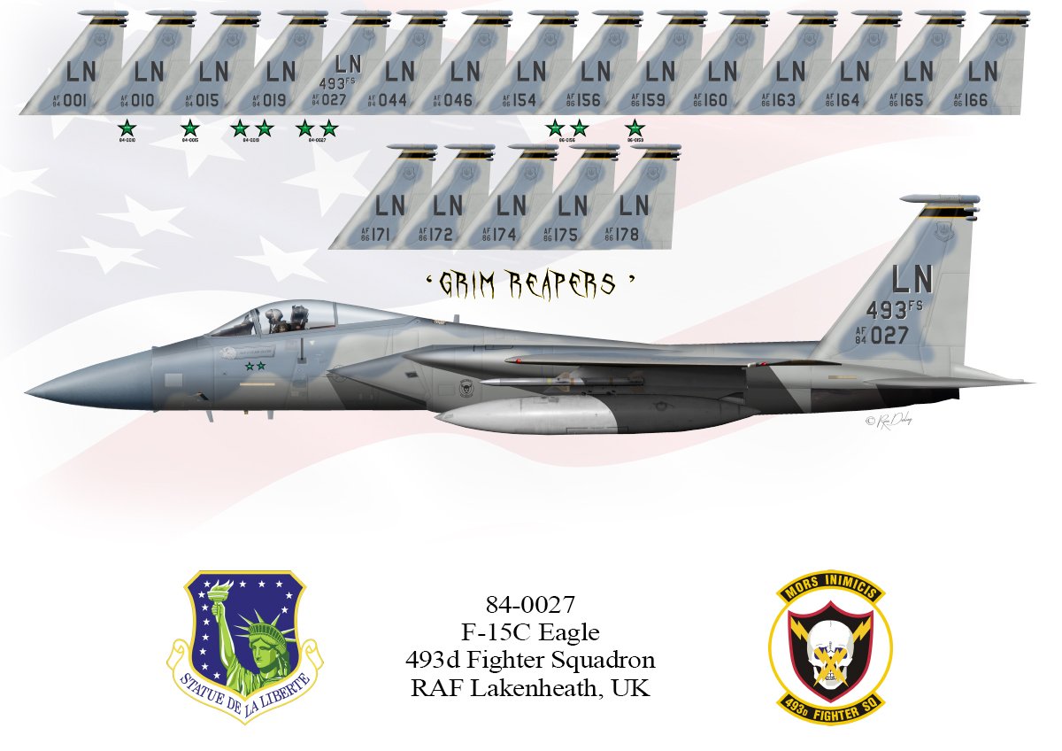 F-15C-493d-Tail-Print.jpg