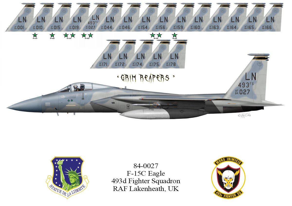 F-15C-493d-Tail-Print-Plain.jpg