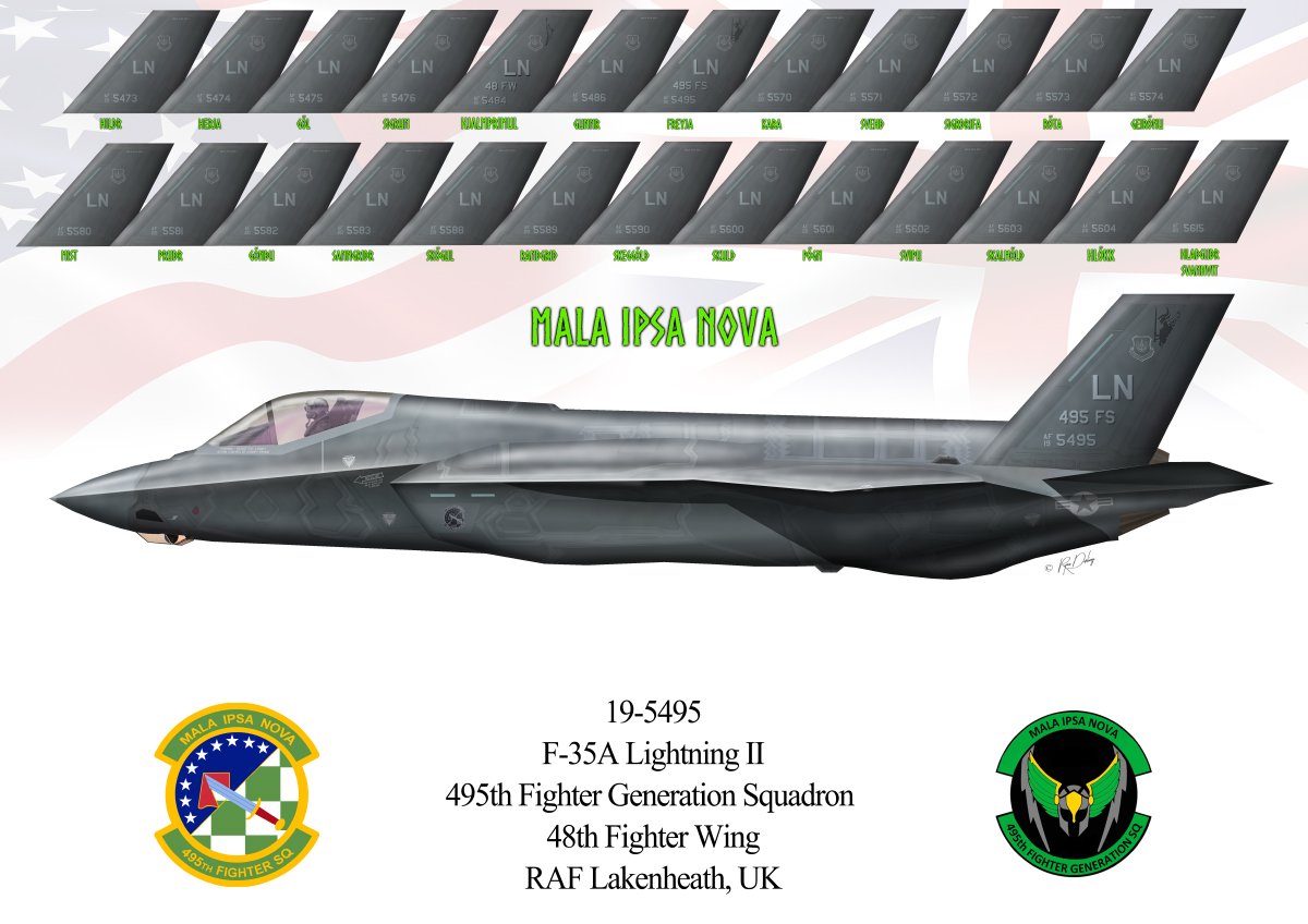 Untitled-1F-35-495th-FS-Tail-print-WITH-CHARACTER-NEW-Plain.jpg