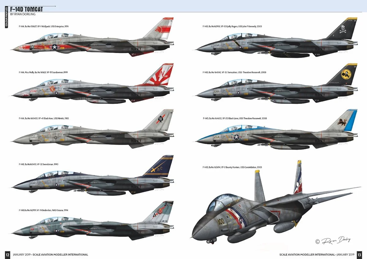 F-14 profile