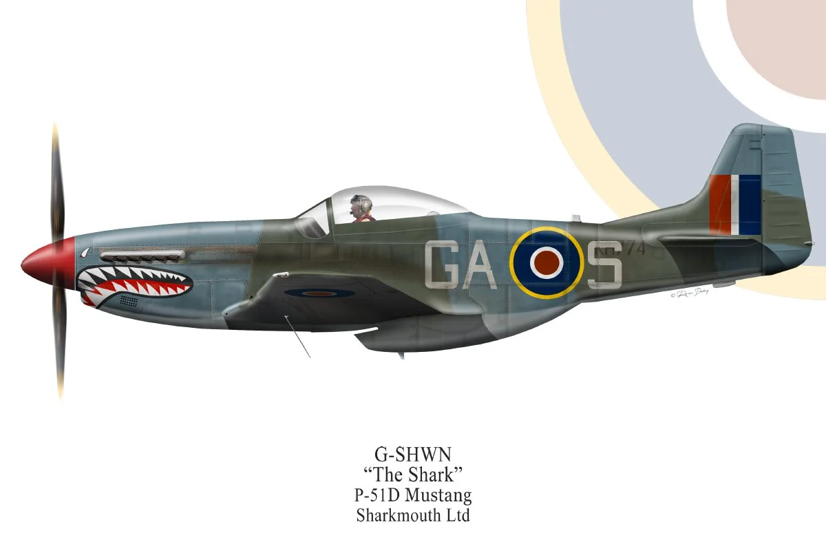 P-51D-G-SHWN.jpg