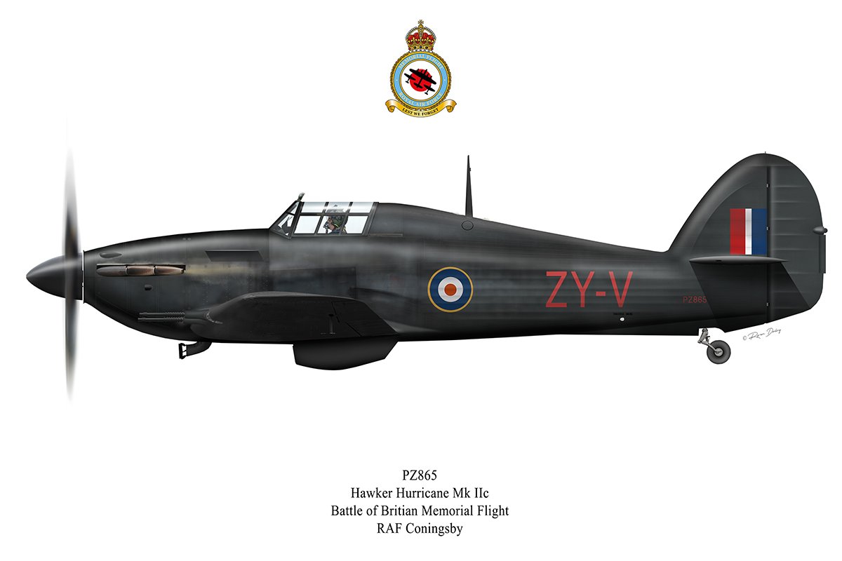 PZ865-Plain.jpg