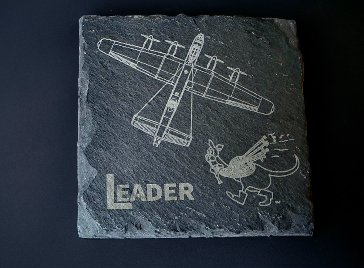 Leader-Coaster.jpg