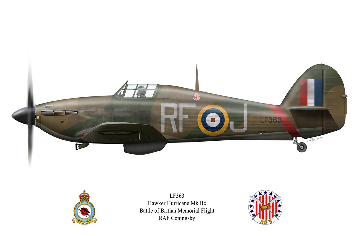 LF363-3.jpg