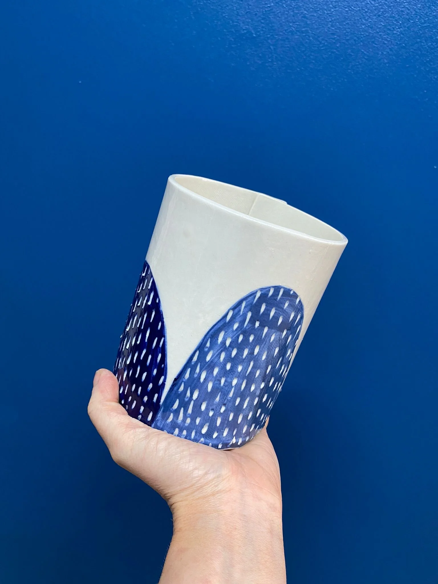 4481AD1B-BA6E-4DE8-B2A5-CBB8177B6E5B