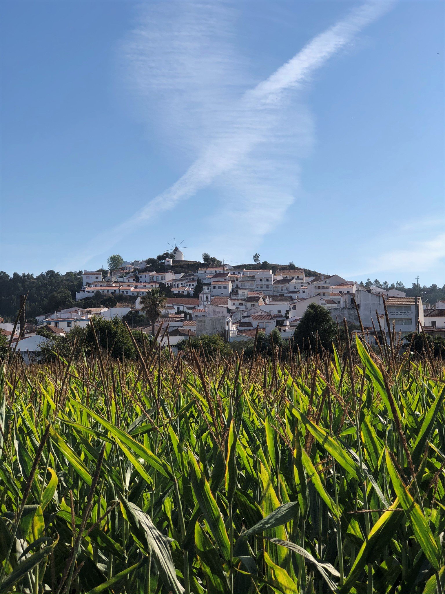 IMG_1407.jpeg