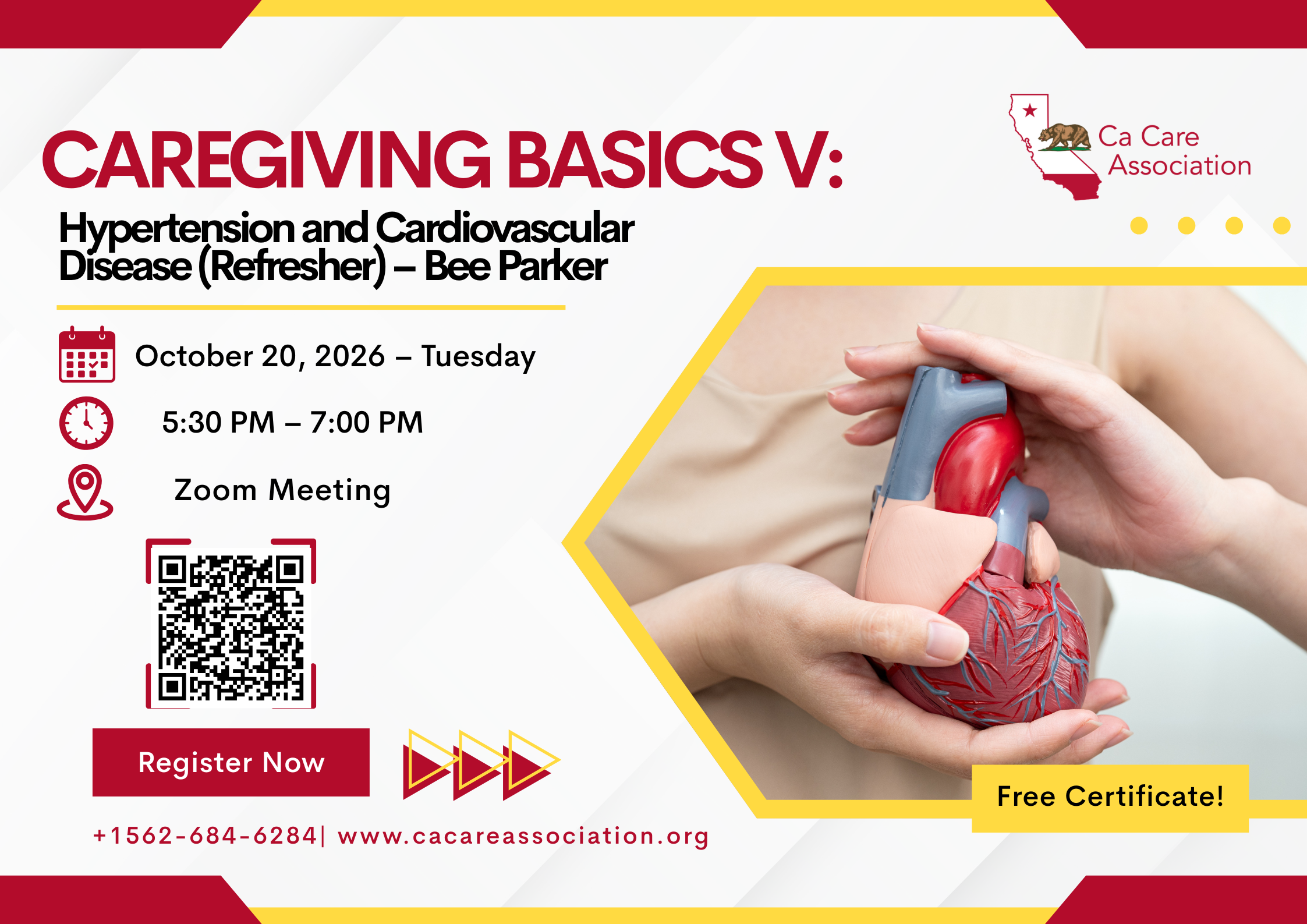 Caregiving Basics V Hypertension and Cardiovascular Disease (Refresher) - Bee Parker.png