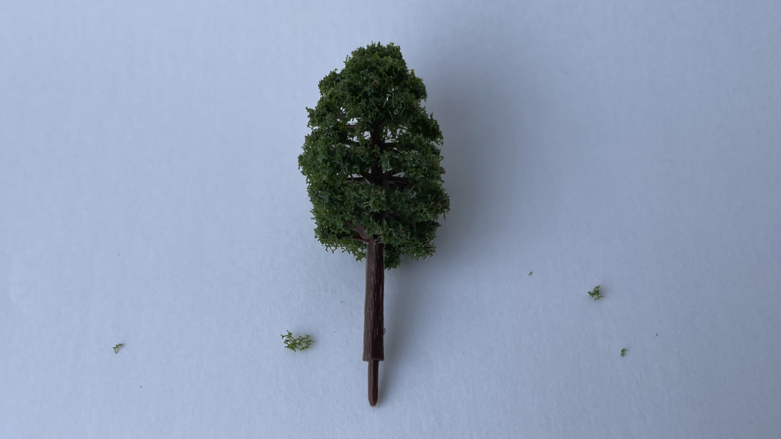 PN00054-Deciduous Trees_8cm_Single_1600x900px web.png