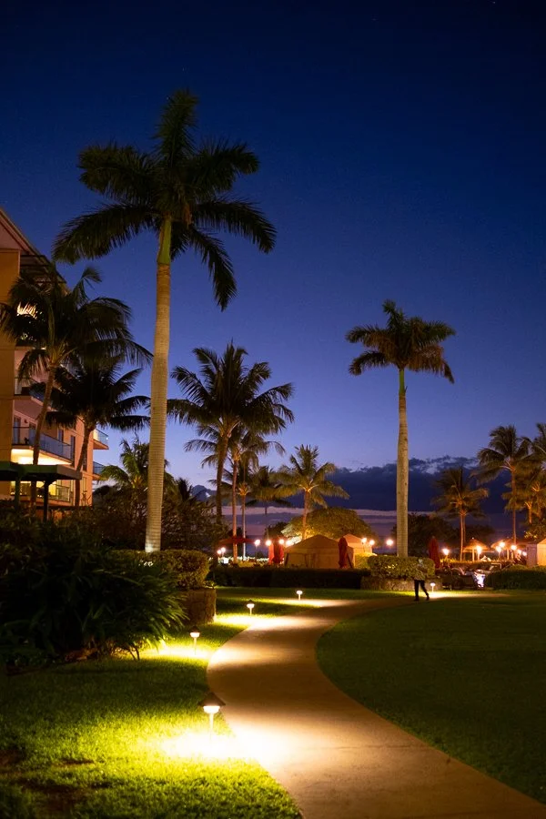 Maui 2022-56.jpg