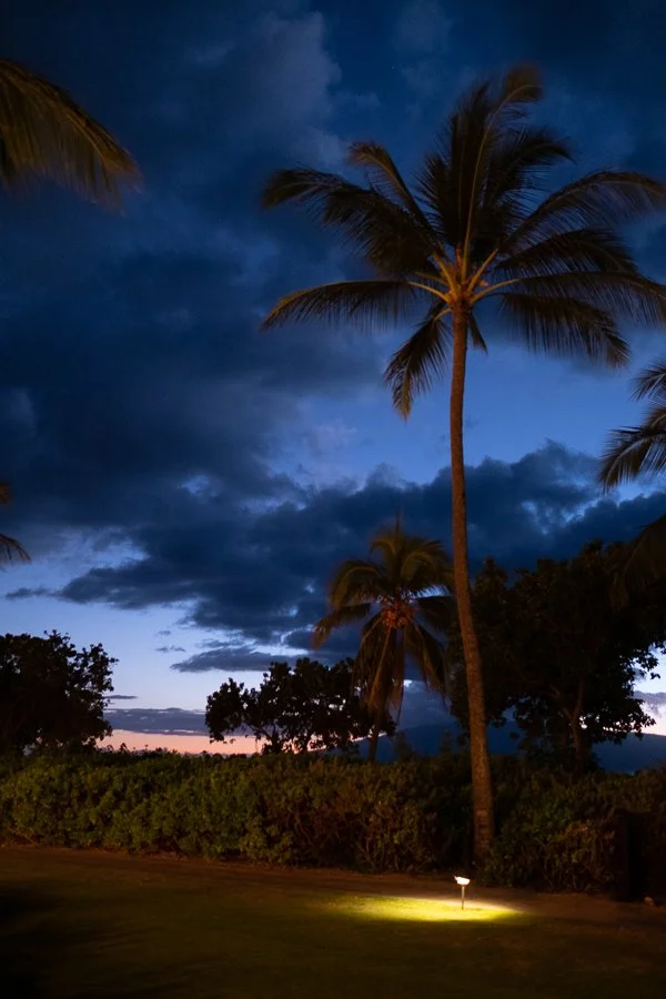 Maui 2022-398.jpg