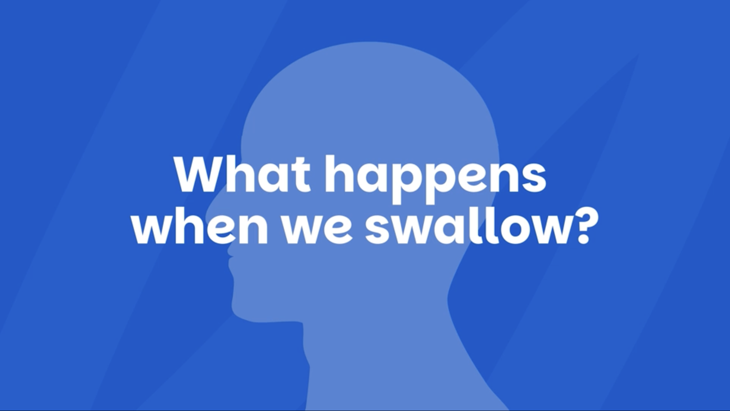 What happens when we swallow?
