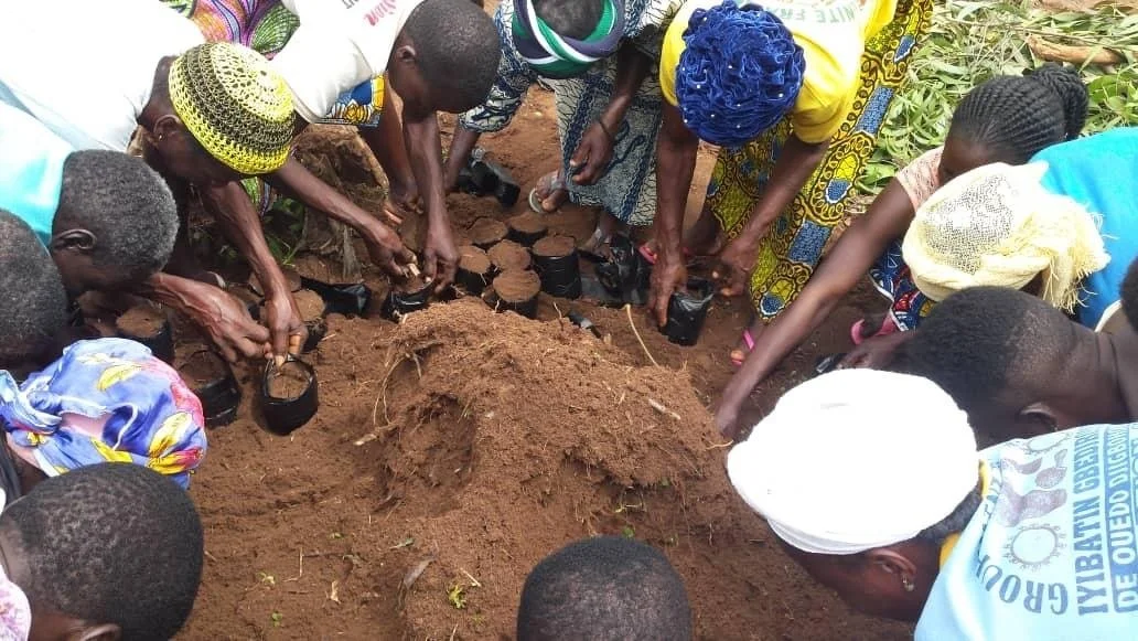 Partner Spotlight: Graine de Vie