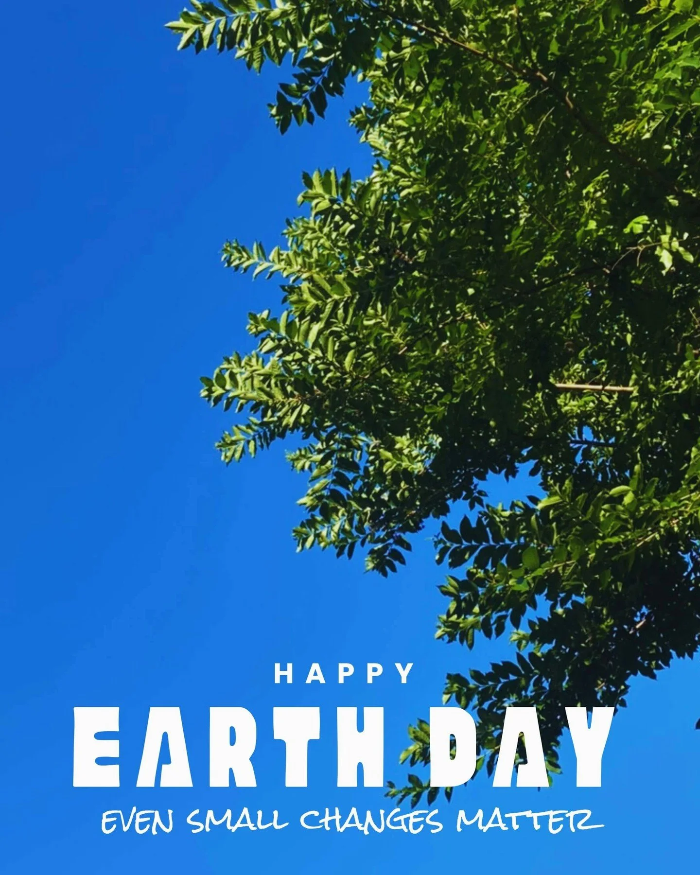 As a visual designer, I&rsquo;m constantly inspired by the earth&rsquo;s beauty&mdash;its colors, textures, light.
But it&rsquo;s more than that. Nature grounds me, restores me, and reminds me to slow down.
Even small changes &mdash; reusable bags, a