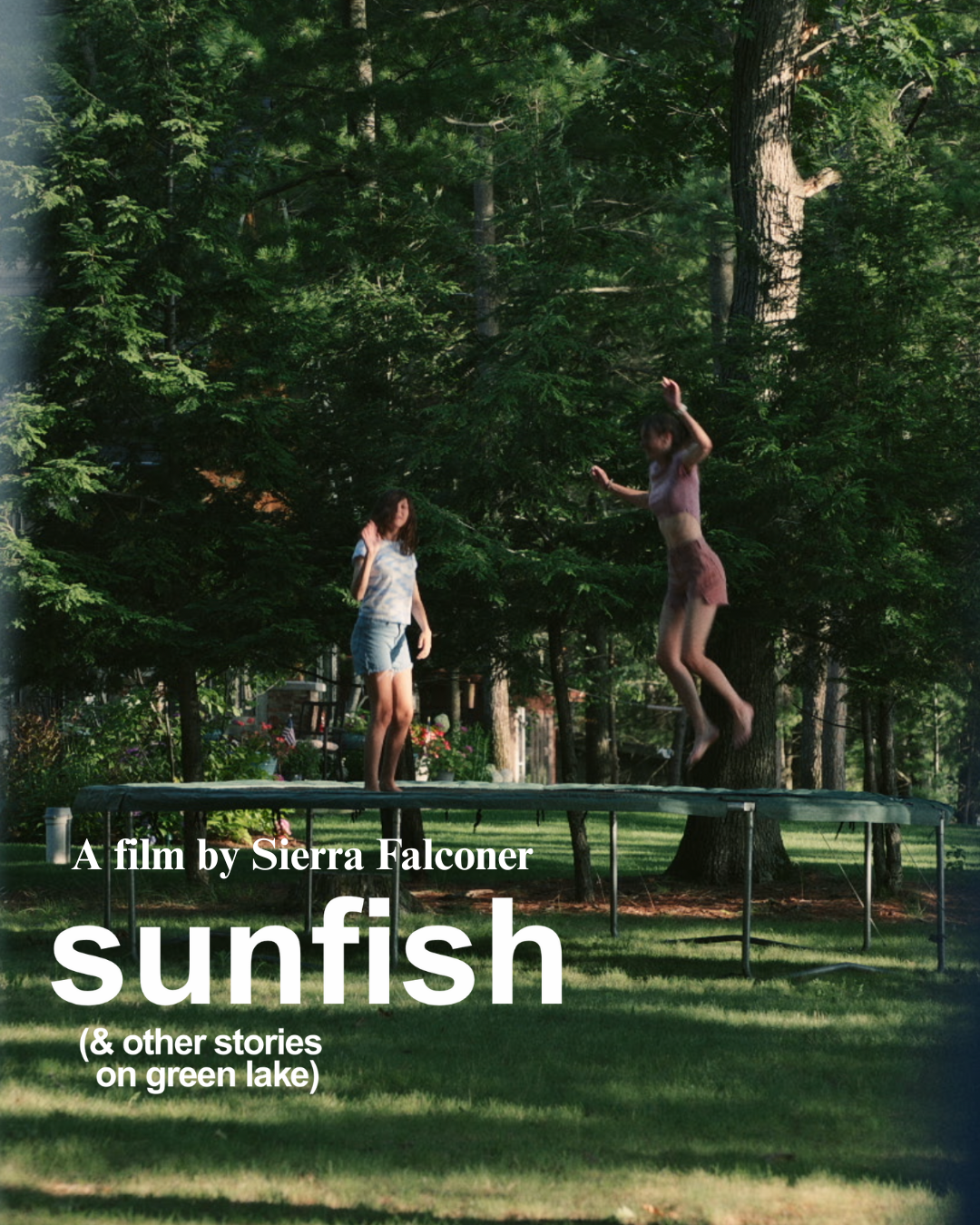 SUNFISH (& OTHER STORIES ON GREEN LAKE)