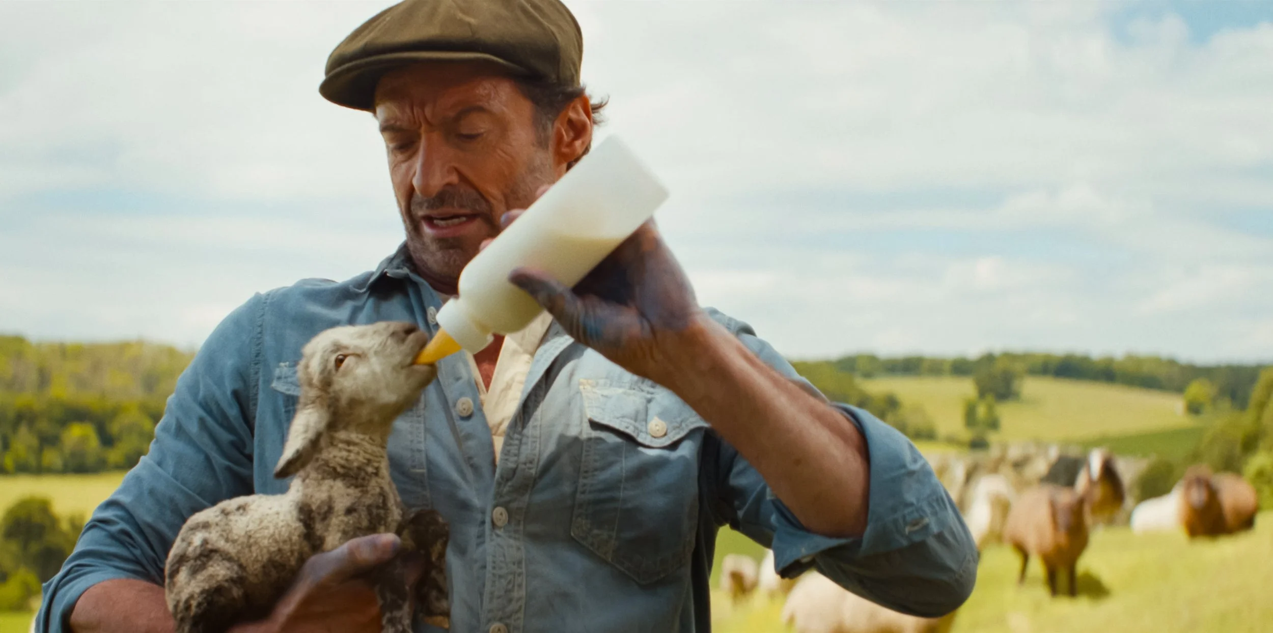 Sheep Detectives