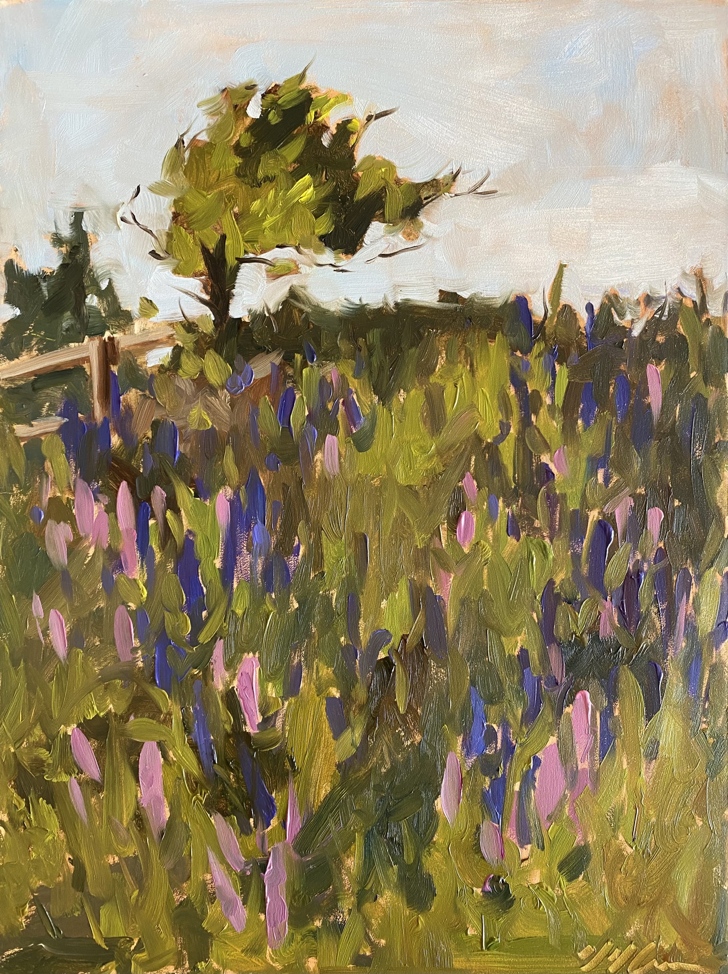 Campground Lupins - 9x12
SOLD