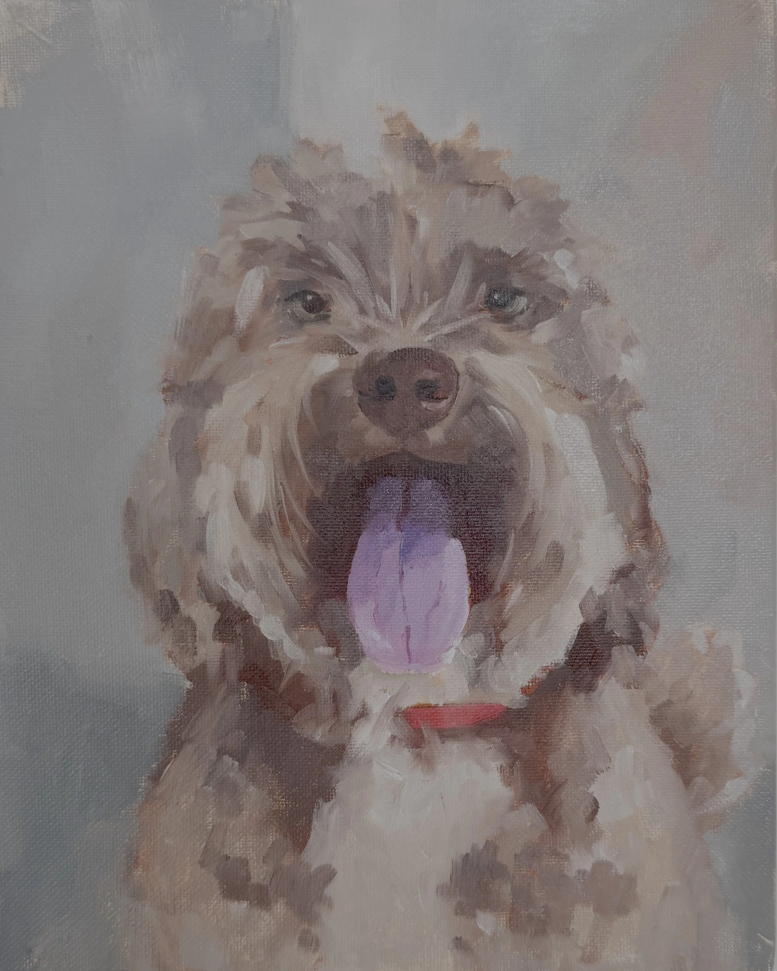 Finnegan - 8x10   SOLD