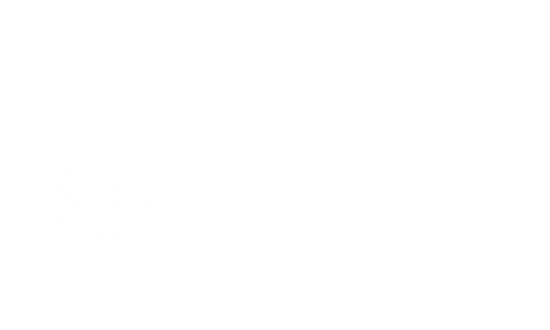 White Pearl Capital