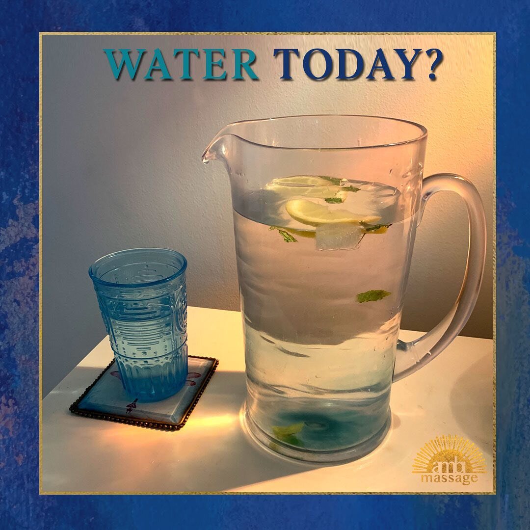 How many glasses of water have you had today? 

It sounds so simple but it&rsquo;s such a vital part of our health which is easy to overlooked.

Have you ever noticed after you drink a glass of water 20mins later you start to feel more awake, focused