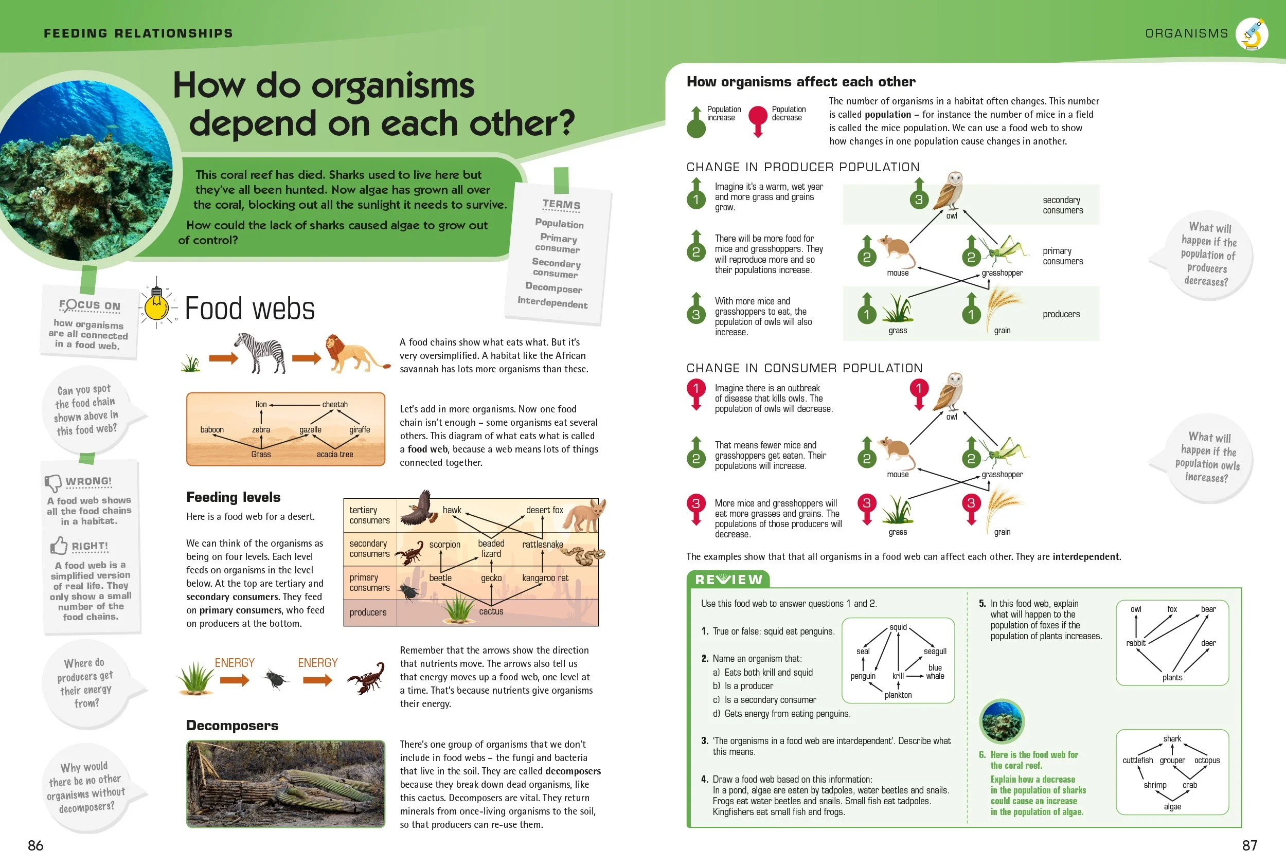 86-87_How do organisms depend on each other?_1.jpg