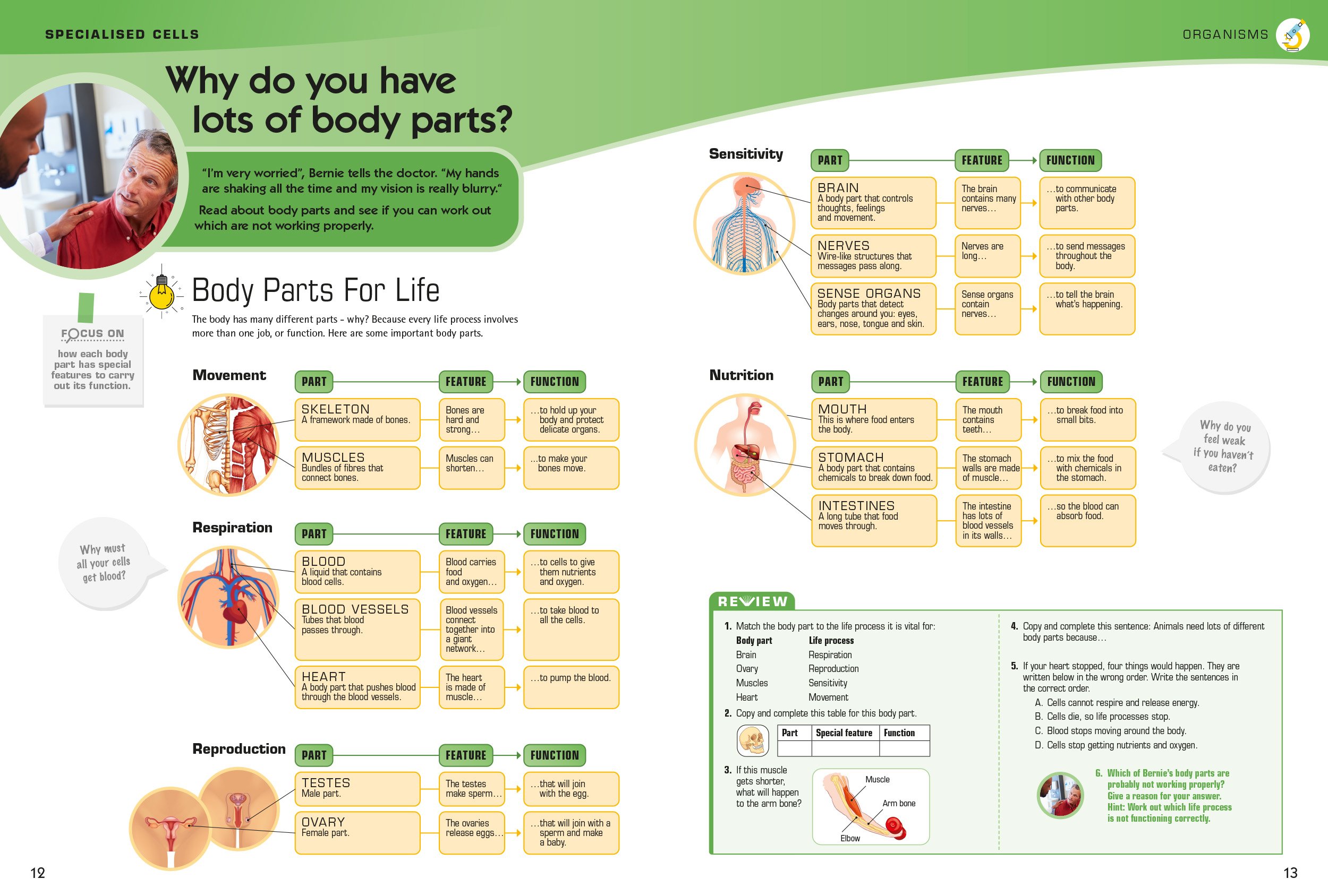 12-13_WhyDoYouHaveLots. copy.jpg