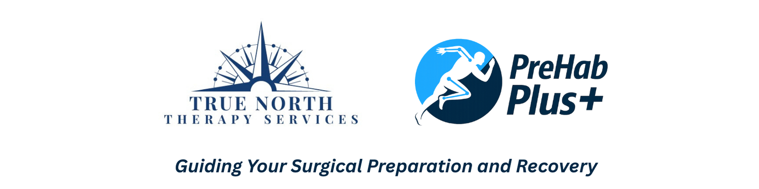 True North Therapy Services