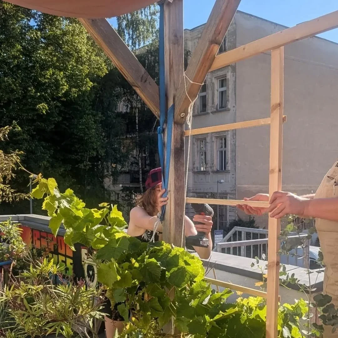 Bauzeit auf der Terrasse!
Letzte Woche ist in der tivo ein Rankgitter f&uuml;r die Kletterpflanzen entstanden und es wurden neue Pflanzk&auml;sten gebaut. Es wurde wild ges&auml;gt, gebohrt und geschraubt. Wir haben au&szlig;erdem neue hitzevertr&aum