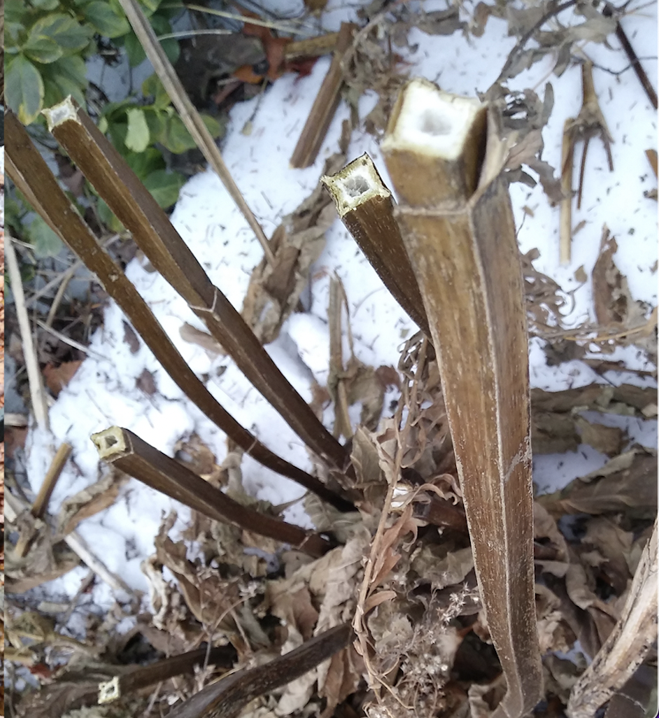 Screen Shot 2026-03-14 at 5.44.19 PM.png