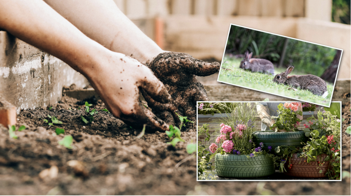 Screen Shot 2026-03-24 at 5.30.48 PM.png