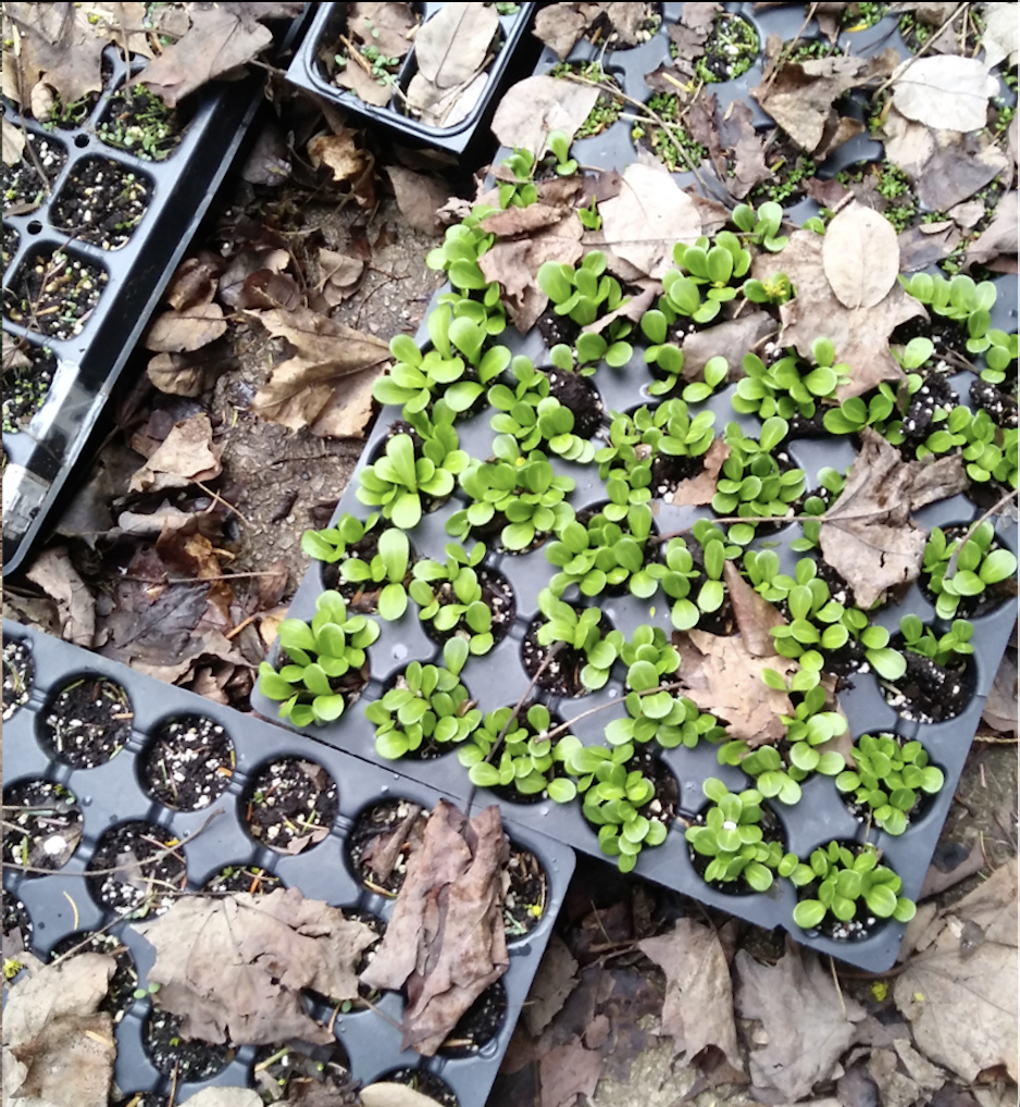 Screen Shot 2026-03-14 at 5.43.59 PM.png