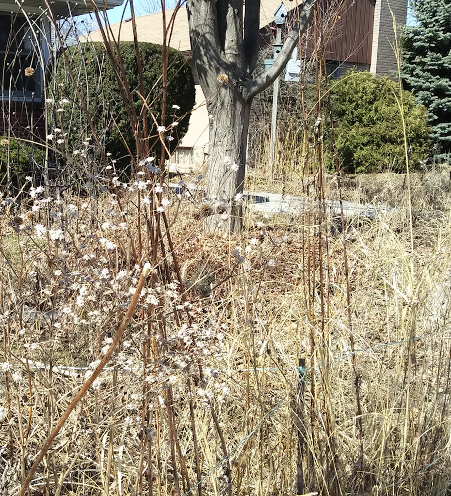 Screen Shot 2026-03-14 at 5.43.52 PM.png