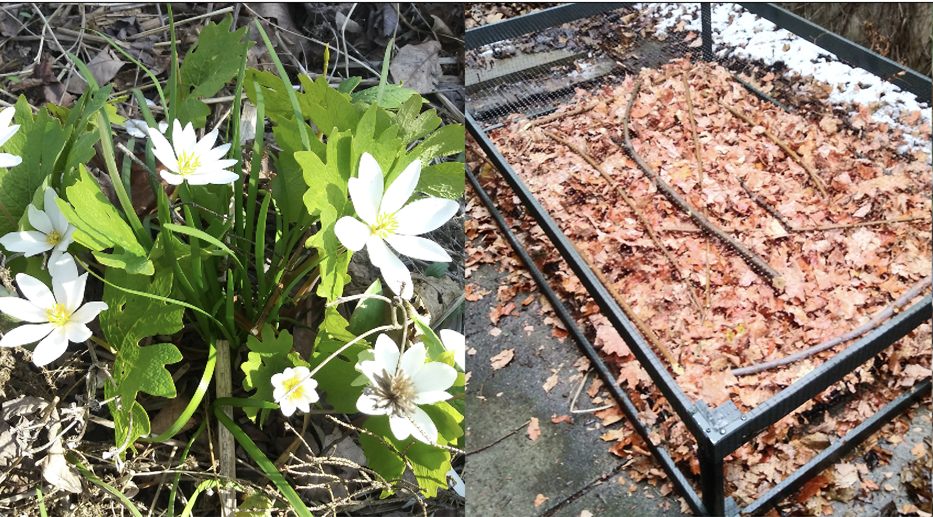 Screen Shot 2026-03-14 at 5.44.12 PM.png