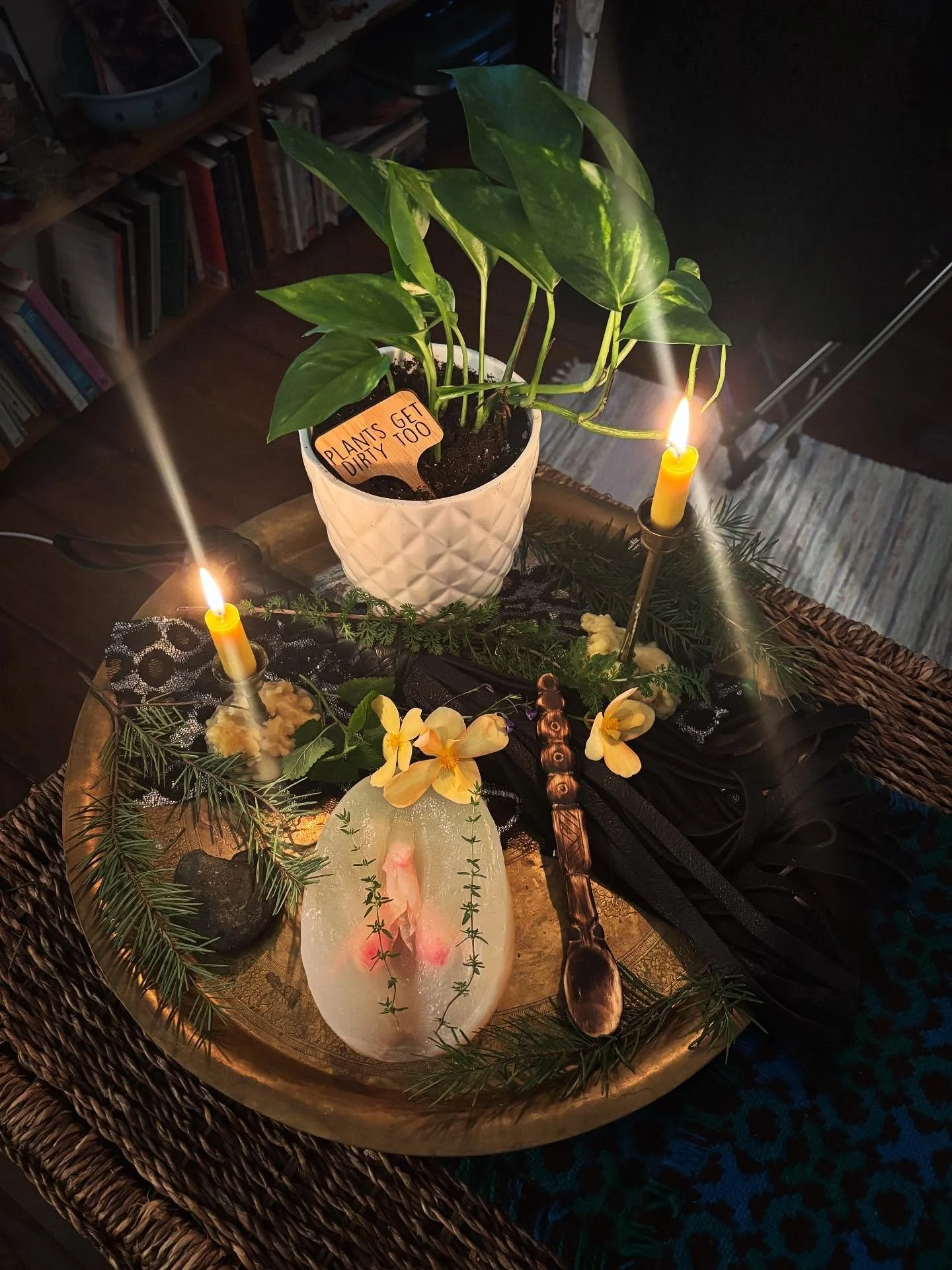 This little altar helped hold the Queer Death Salon folks today as we discussed Sexual Bereavement, embodiment, bringing pleasure and orgasm into palliative care and death, and so many things that the larger world considers taboo… especially w
