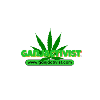 ganjactivist