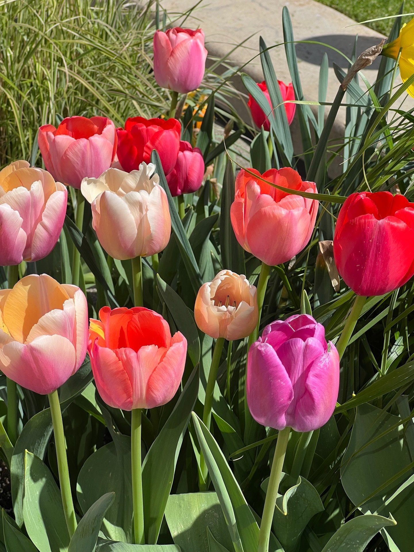 Easter weekend at Chadwick&rsquo;s 🐣🌷

We&rsquo;re open all weekend long &mdash; whether you&rsquo;re joining us for a cozy brunch or settling in for dinner.

Good Friday
Lunch 12&ndash;4:15
Dinner 5&ndash;9:45

Saturday
Brunch 10&ndash;3:15
Dinner