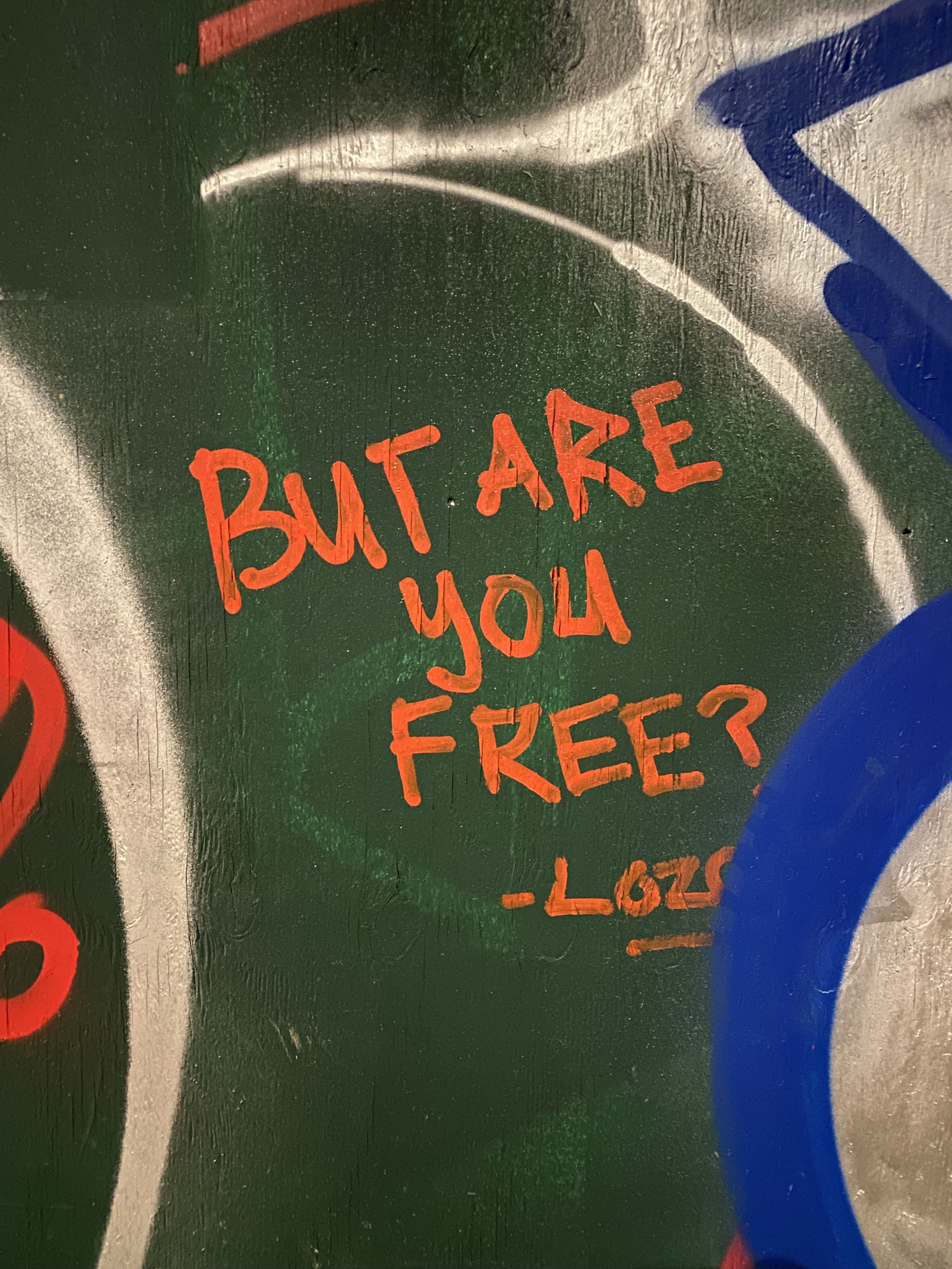 "but are you free", Lozo, from copperminted photo archive